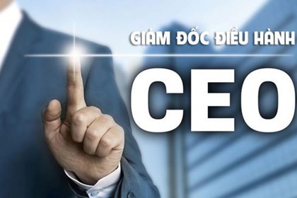 Phê duyệt Chương trình đào tạo, bồi dưỡng 10.000 giám đốc điều hành