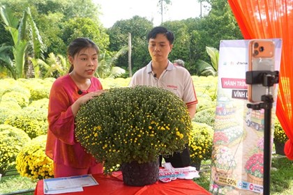 Định vị giá trị nông sản Việt trong kỷ nguyên thương mại điện tử