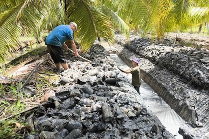 Nông dân linh hoạt "né mặn” trong cao điểm mùa khô