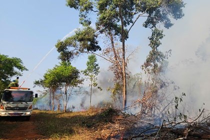 Ứng dụng hệ thống giám sát rừng trực tuyến để phát hiện sớm điểm cháy