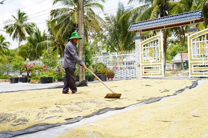 Căng thẳng Trung Đông đẩy giá gạo xuất khẩu châu Á tăng vọt