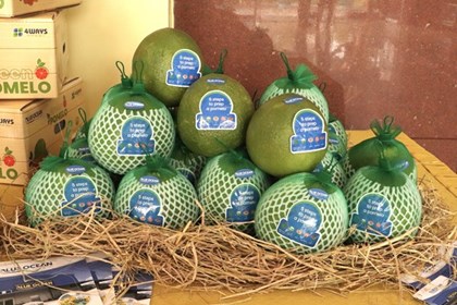 Ký kết Nghị định thư xuất khẩu bưởi, chanh sang Trung Quốc