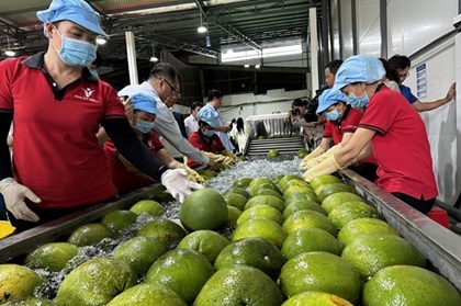 EuroCham: Sức hút dài hạn của Việt Nam vẫn được bảo toàn