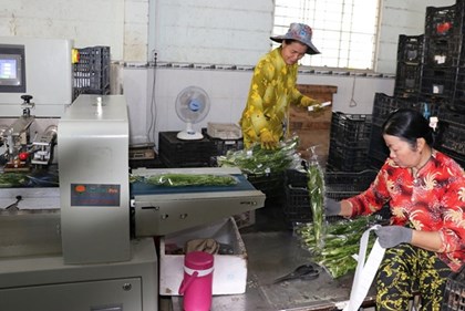 Công nghệ thúc đẩy niềm tin tăng trưởng của doanh nghiệp nhỏ Việt Nam