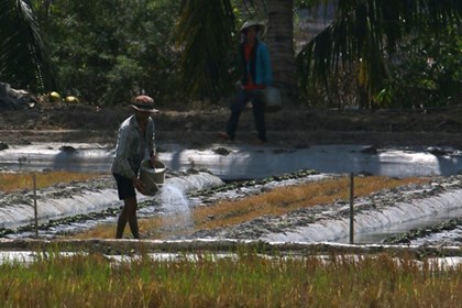 Nhiều khu vực sẽ phải “căng mình” ứng phó hạn mặn mùa khô 2026-2027