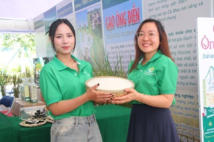 Khai mạc Cuộc thi gạo ngon ĐBSCL: Khi hạt lúa miền Tây thôi dựa vào sản lượng