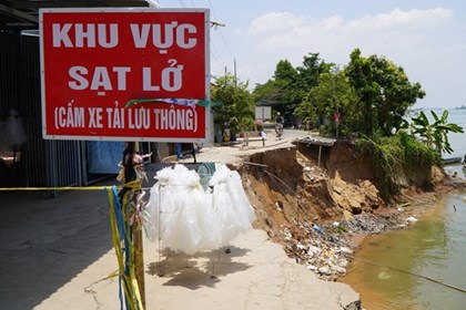 Khắc phục sạt lở bờ sông Tiền tại xã cù lao Long Phú Thuận