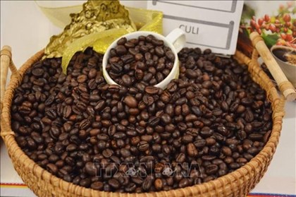 Giá cà phê phục hồi, nguồn cung toàn cầu tiếp tục gây áp lực
