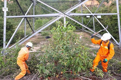 Chính quyền 2 cấp: Phối hợp nhanh, vận hành lưới điện hiệu quả