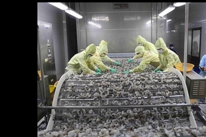 Chuyển đổi số - Yếu tố quyết định năng suất, chất lượng