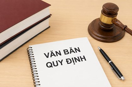 Thủ tướng siết tiến độ ban hành văn bản hướng dẫn luật các bộ, ngành