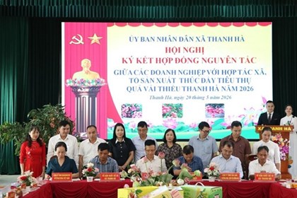 Hải Phòng xúc tiến thương mại tiêu thụ vải thiều