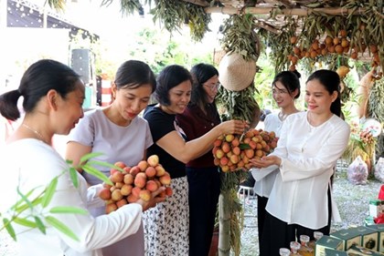 Nhiều hoạt động quảng bá, xúc tiến tiêu thụ vải thiều sớm