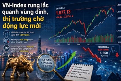VN-Index rung lắc, thị trường chứng khoán chờ lực đẩy mới