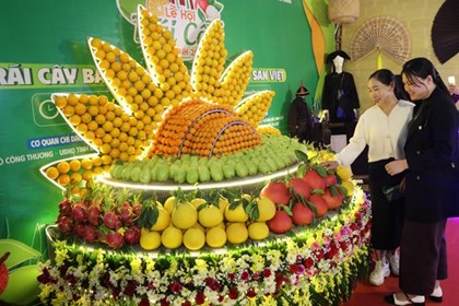 Sắp diễn ra Lễ hội Trái cây Đồng Tháp lần thứ I năm 2026