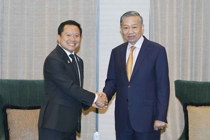 Tổng Bí thư, Chủ tịch nước Tô Lâm tiếp Chủ tịch điều hành Tập đoàn TCC (Thái Lan)