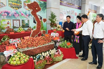 Bắc Ninh xúc tiến tiêu thụ vải thiều và nông sản chủ lực