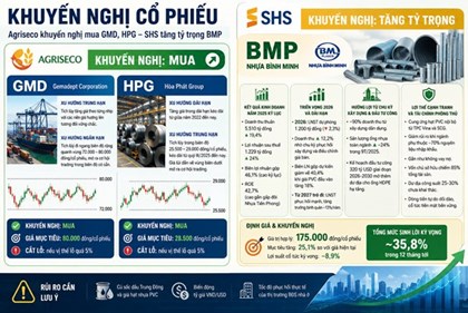 Khuyến nghị cổ phiếu hôm nay: Agriseco đề xuất mua GMD, HPG; SHS tăng tỷ trọng BMP
