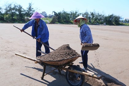 Diêm dân Ninh Bình được mùa muối