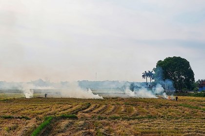 Thành phố Huế tăng cường kiểm soát tình trạng đốt rơm rạ 