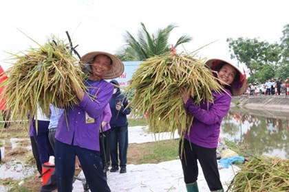Hải Phòng: Ngày hội lúa rươi hữu cơ và xúc tiến thương mại sản phẩm nông nghiệp, sản phẩm OCOP Hải Phòng: Ngày hội lúa rươi hữu cơ và xúc tiến thương mại sản phẩm nông nghiệp, sản phẩm OCOP