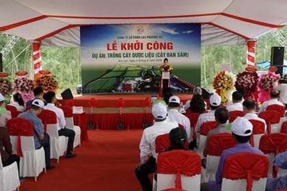 Khởi công dự án 139 tỷ đồng trồng cây dược liệu tại Gia Lai Khởi công dự án 139 tỷ đồng trồng cây dược liệu tại Gia Lai
