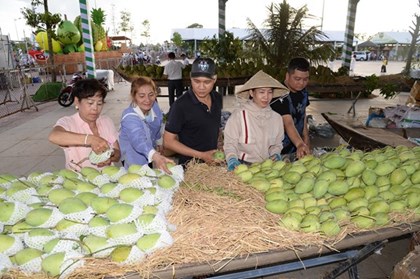 Từng bước đưa trái xoài thành ngành hàng xuất khẩu chủ lực Từng bước đưa trái xoài thành ngành hàng xuất khẩu chủ lực