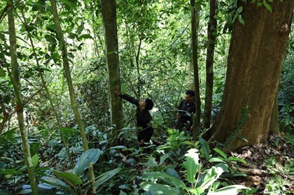 Khoảng trống trong quản lý rừng phòng hộ - Bài 1: Nhiều diện tích rừng chưa được bàn giao ngoài thực địa