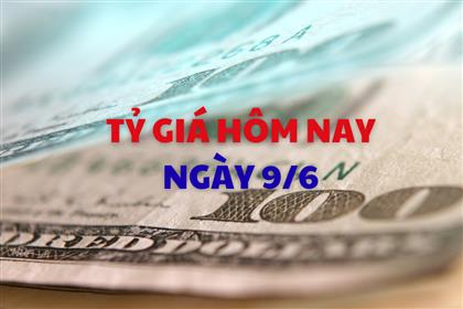 Tỷ giá hôm nay 9/6: USD tăng nhẹ, NDT đồng loạt giảm