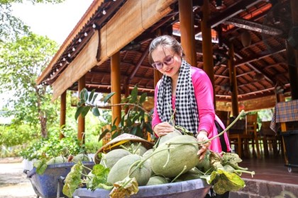 Tây Ninh biến dâu tằm, dưa lưới thành mỏ vàng hút khách