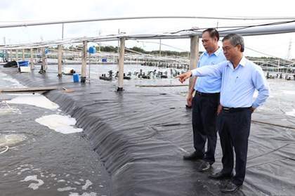 Thủy sản Vĩnh Long tìm lực đẩy từ công nghệ cao Thủy sản Vĩnh Long tìm lực đẩy từ công nghệ cao