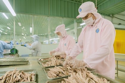 Xuất khẩu tỷ USD, doanh nghiệp An Giang vẫn lo gọng kìm mới