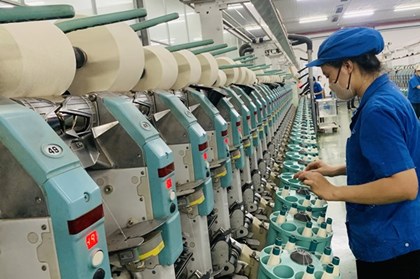 Lợi nhuận Vinatex tăng hơn 14% giữa áp lực suy giảm đơn hàng toàn cầu