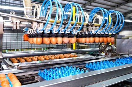 Hình thành các doanh nghiệp công nghệ chiến lược quy mô lớn giai đoạn 2026-2030