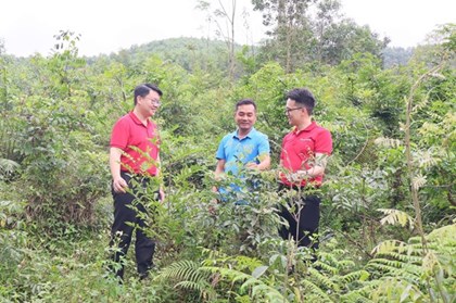 Tín dụng xanh mở đường nông nghiệp bền vững