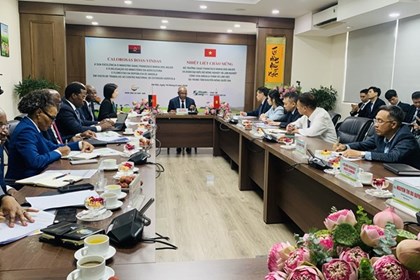Việt Nam - Angola thúc đẩy hợp tác khuyến nông và chuyển giao công nghệ