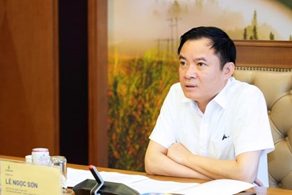 Petrovietnam quản trị doanh nghiệp theo các nguyên tắc của OECD