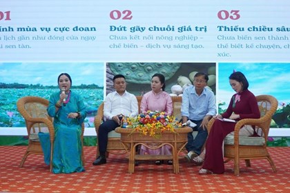 Đồng Tháp tìm đường đưa cây sen thoát mác "chụp ảnh rồi về"