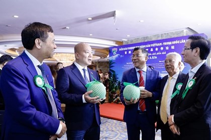 Nông sản Việt chinh phục Trung Quốc bằng chất lượng và sự an toàn Nông sản Việt chinh phục Trung Quốc bằng chất lượng và sự an toàn