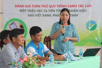 Cần Thơ thí điểm chứng nhận "Gạo Việt xanh" bằng ứng dụng số