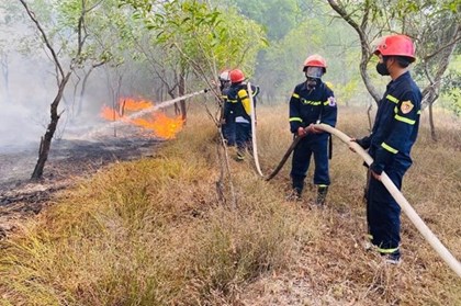 AI và viễn thám mở “lá chắn số” bảo vệ rừng trước nguy cơ cháy AI và viễn thám mở “lá chắn số” bảo vệ rừng trước nguy cơ cháy
