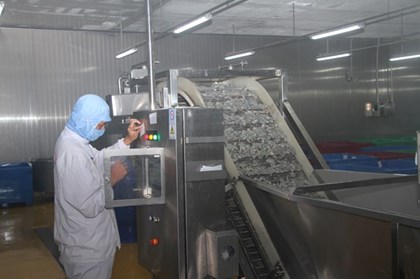 Xuất khẩu nông, lâm, thủy sản đạt gần 35,9 tỷ USD