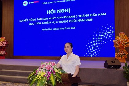  Điện lực miền Bắc phát triển thêm 8.500 khách hàng điện mặt trời mái nhà trong 6 tháng