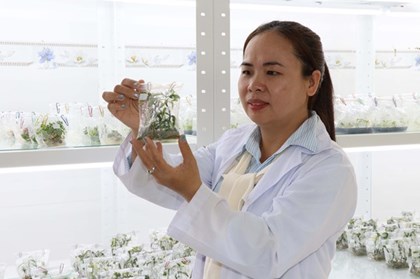 Vĩnh Long kích hoạt thị trường khoa học công nghệ, tạo lực đẩy tăng trưởng