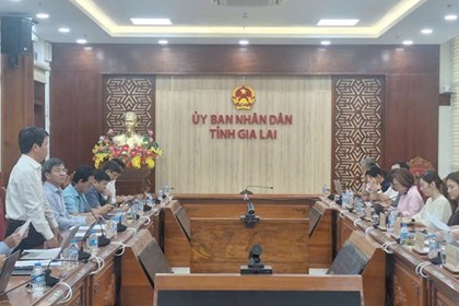 EVNNPT và ADB làm việc với Gia Lai về vốn ODA dự án đường dây 500kV Bình Định - Krông Buk