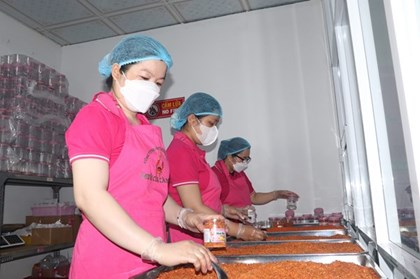 Cà Mau đặt kỳ vọng vào chuyển đổi số để thúc đẩy tăng trưởng