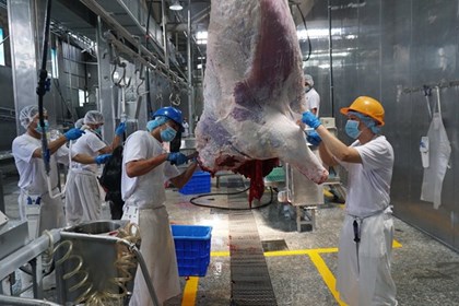 Nông nghiệp Tây Ninh: Chuyển đổi số để nâng tầm giá trị