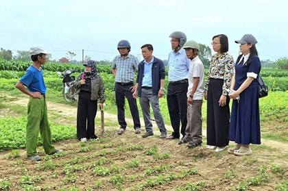 Cụ thể hóa bằng những chương trình hành động sát thực tiễn