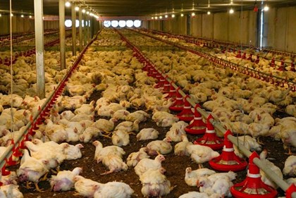 Tây Ninh định danh từng chuồng trại: Bước ngoặt quản trị số