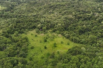Drone mở ra hướng mới trong phục hồi rừng ở địa hình hiểm trở Drone mở ra hướng mới trong phục hồi rừng ở địa hình hiểm trở